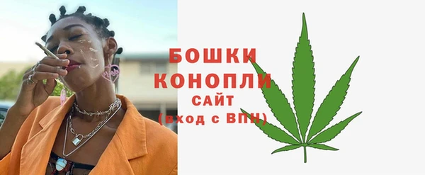 ГАЛЛЮЦИНОГЕННЫЕ ГРИБЫ Абаза