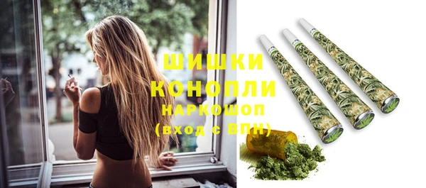 ГАЛЛЮЦИНОГЕННЫЕ ГРИБЫ Абаза