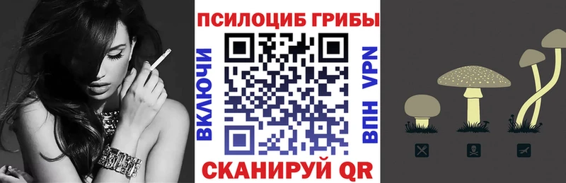 купить закладку blacksprut ТОР Псилоцибиновые грибы GOLDEN TEACHER Чкаловск